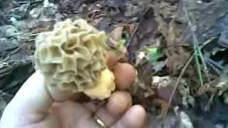 09052010.mp4