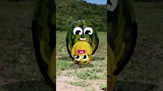 Goodland | Triple birth in the field, watermelon - melon - pear #cartoon #doodles #animation #funny
