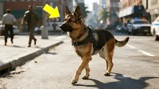 DOG WITH ONE EYE INJURED CRAWLS THROUGH STREETS &mdash; what happens next will break your heart