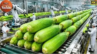 From Fresh Corn to Bottled Milk | Inside a Modern Corn Milk Factory