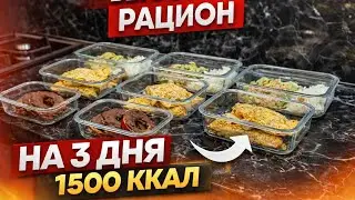 ИДЕАЛЬНЫЙ РАЦИОН НА 1500 ккал | на 3 дня | много белка
