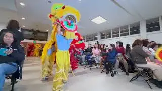TNF Tết Lion Dance Team 2025