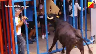 2025 BENIMODO 02 Ganadería Fernando Machancoses