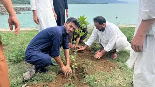 Plantation Drive Mansehra |Plant for Pakistan|