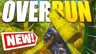 the NEW OVERRUN MAC-10 BLUEPRINT IN COLD WAR! (STITCH SENTINEL BUNDLE)- Warzone