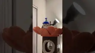 Cute Animals Meow Cash
