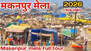मकनपुर मेला 2026 full Tour |Makanpur mela 2026 |Makanpur mela ghoda bazar |Makanpur mela