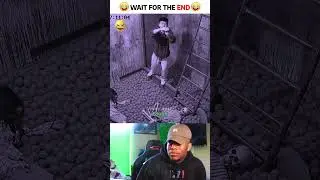 Wait for the end 🤣🤣577 #shorts #youtubeshorts #funny #vinesbestlaugh