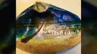 22 DIY Painted Seashells and 1 rock frog projects that I make