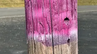 Purple Paint