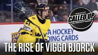Called Up: The Prospects Podcast - Rise Of Viggo Bj&ouml;rck, Central Scouting Rankings Reviewed And More