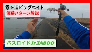 The KASUMIGAURA in ちんぺーヒッツ
