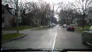 Ferndale police DUI arrest video