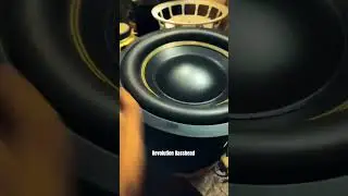Basshead Things On Shorts #basshouse #basshead #loud #subwoofer #demo #spl #loudandproud #lows #bms
