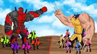 Evolution of Wolverine vs Evolution of Color Team Deadpool [2025] | SUPER HEROES MOVIE ANIMATION