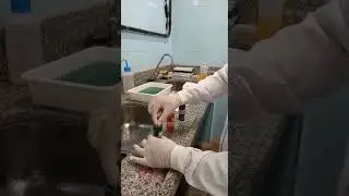 Colora&ccedil;&atilde;o de l&acirc;mina por m&eacute;todo Pan&oacute;tico