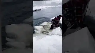 🥶Atlantic Ocean: Home of the Most BrutalFrozen Creatures💀☠️!! #shortfeed #trending #Atlantic