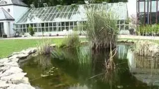 hongrie Keszthely, Festetics Palace