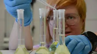 How to make a calibration curve - LAB TUTORIALS