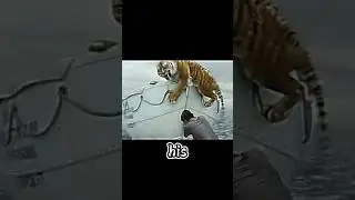 A Boy and Tiger Stuck on a Boat🛶..🤯 #shorts