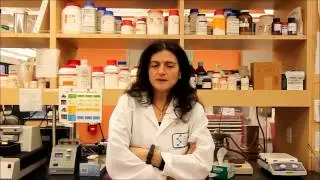 Marisa Roberto Liceo Volterra
