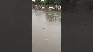 Zapote River Side#asmr #shortsviral