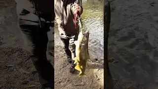 #wisconsin #salmon #fishing #portwashington #fall