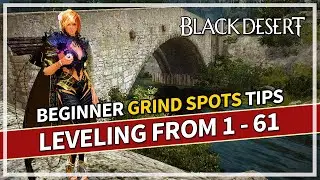 Fast EXP Beginner Spots to SOLO Level From 1-61 | Black Desert