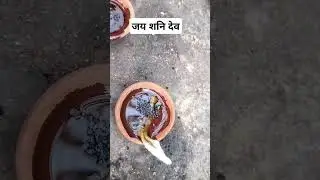 काले तिल डालकर दीपक जलाने से क्या होता है#शनि देव#सरसों के तेल में#काले तिल डालकर दीपक क्यों जलाते