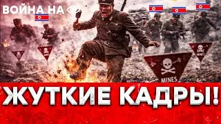 ЖЕСТЬ! Северокорейцы пошли ПО МИНАМ ВСУ - результат УБИЛ! 