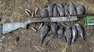 Awesome Dove hunt in Virginia! (S1/E3)