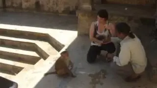 Galta, The Monkey Temple, Jaipur India