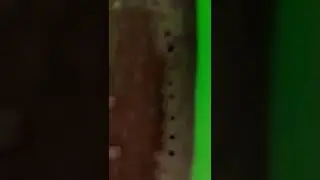 My Yeezy 380 Calcite Glows 👽💚🤍