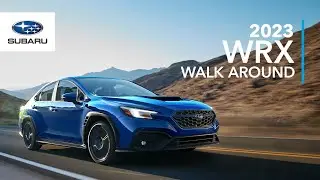 2023 Subaru WRX Walk Around - Meet the uncommon everyday sports car.
