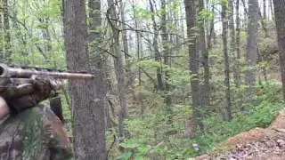 West Virginia Turkey Hunting