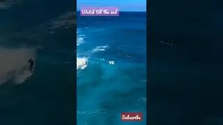 EXPLORING HAWAII #shorts #ytshorts #travel #hawaii #hawaiian #hawaiifood