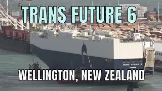 CAR CARRIER 'TRANS FUTURE 6' ARRIVES IN WELLINGTON, NEW ZEALAND