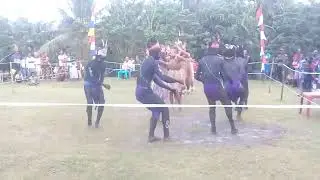 Tarian papua || Biak Kamp Rumbin 2020
