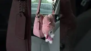 Coach Nolita 19💗 #coach #coachpowderpink #minibag #hellokitty #sanrio #pink #coachbag #purse
