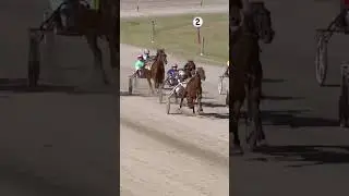Harness Racing Blooper 22/01/2024