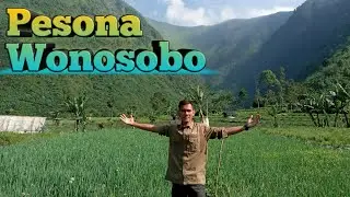 VIRAL jalan sirangkel wonosobo || jateng gayeng