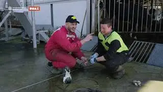 Promo Quella pazza fattoria (DMAX, 2025)