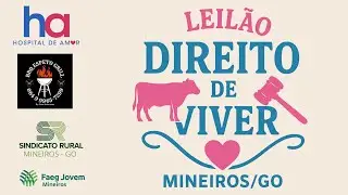 9º LEILÃO DIREITO DE VIVER - MINEIROS-GO | 30/11/2025