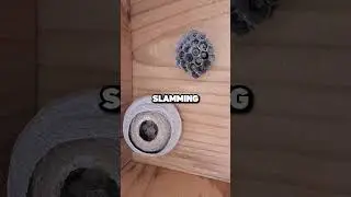 Королевы сражаются! 👑⚔️🔥