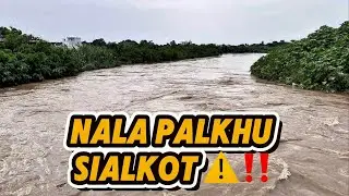 Nala Palkhu Flood Update 🌊 | Khadim Ali Road Sialkot Under Water🥹