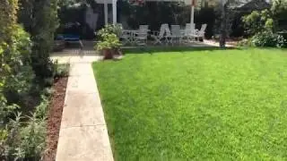 Replace Lawn With Bark Chips In Front Yard, Install New Lawn In Back Yard
