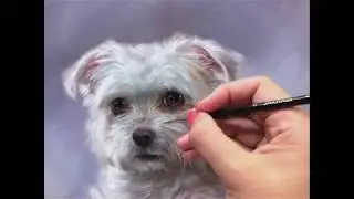 Pet Portraits by animal artist Marjolein Kruijt [4K]