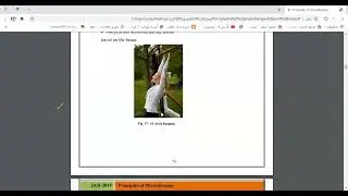 POSITIONS اسس محموك حميد