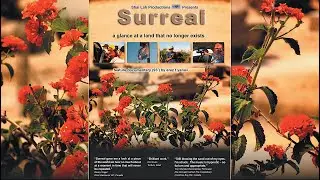 06 Surreal &ndash; Kfar Darom, Netzarim, Dugit | Ben Euerby | הזוי &ndash; כפר דרום, נצרים, דוגית