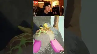 Terracid sous champi !🍄😱